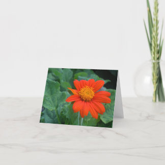 Photograph Notecard
