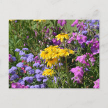 Photograph of a bunch of beautiful coloured flower