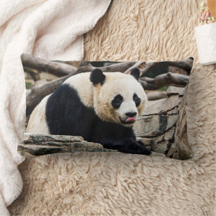 Photograph of a giant panda lumbar cushion