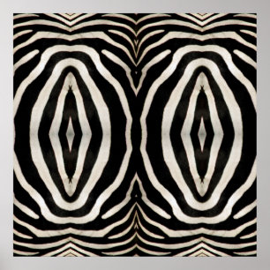 Photograph of a real Zebra's Fur Poster
