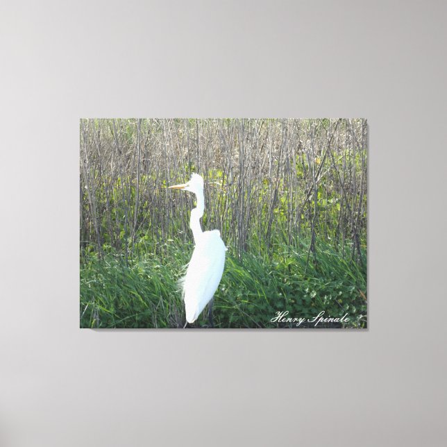 Photograph of a wild Egret on canvas. Canvas Print (Front)