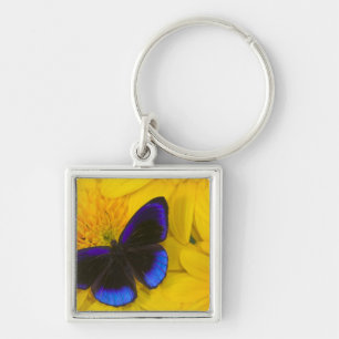 Photograph of Butterfly Key Ring