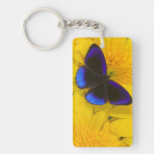 Photograph of Butterfly Key Ring (Front)