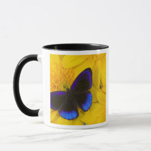 Photograph of Butterfly Mug