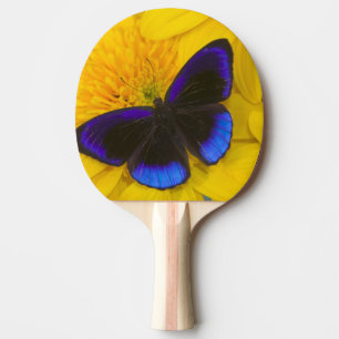 Photograph of Butterfly Ping Pong Paddle