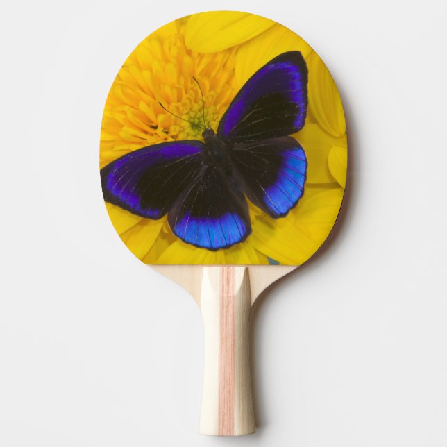 Photograph of Butterfly Ping Pong Paddle (Front)