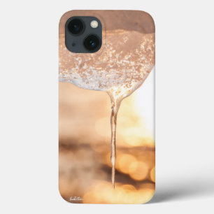 photograph of ice iPhone 13 case