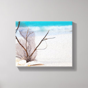 Photograph of Seashells on a Sandy Beach Canvas Print