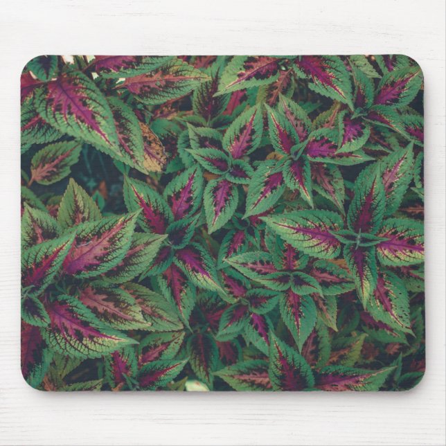 Photograph - Red and Green Leaves Mouse Pad (Front)