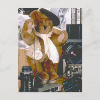 Photographer Bear - Press Journalist Postcard