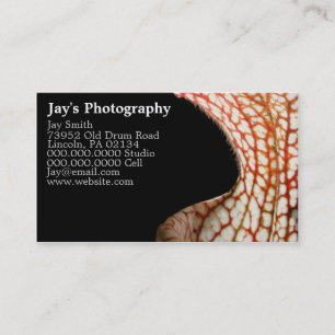 Photographer Business Cards