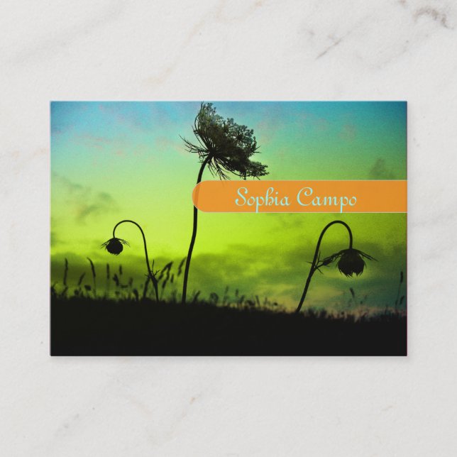 Photographer businesscards business card (Front)