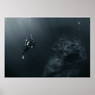 Photographer Diver Poster