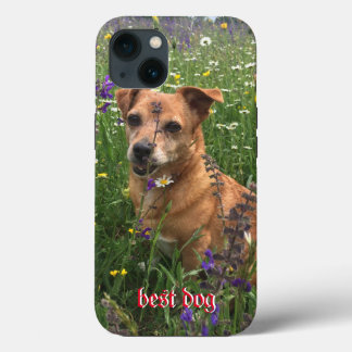 Photographer Phone Cover