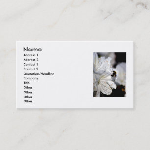 Photographer's business card
