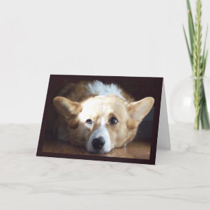 Photographic Art Corgi Card