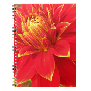 Photographic Floral Notebook
