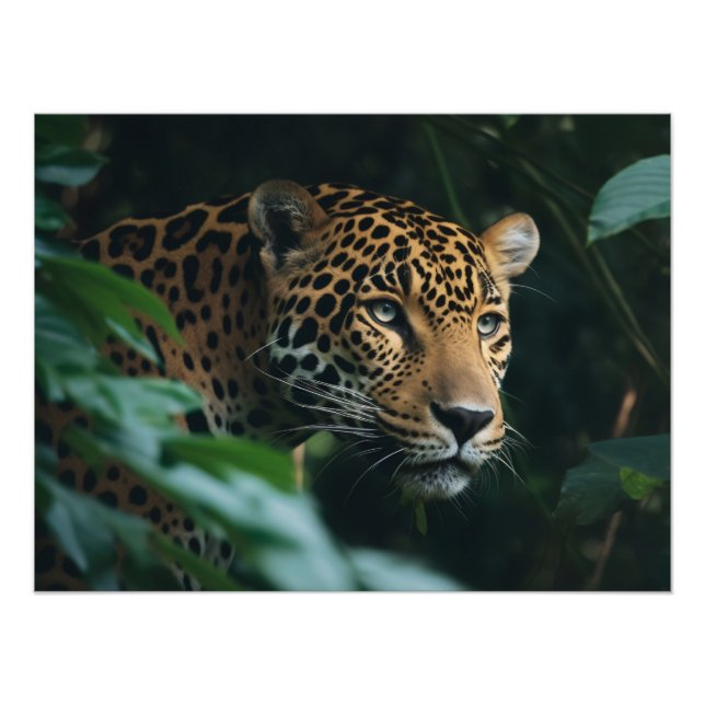 Photographic Print-Leopard Photo Print (Front)