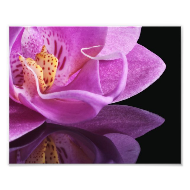 Photographic Print Orchid (Front)