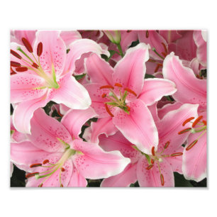 Photographic Print Pink Lillies