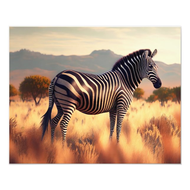 Photographic Print-Zebra Photo Print (Front)