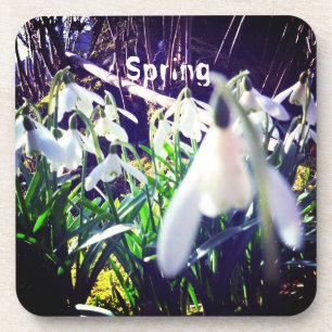 Photographic Snowdrops by River Severn / Hafren Coaster