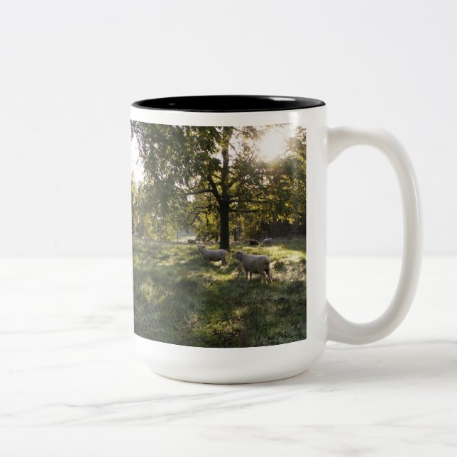 Photographing Sheep Two-Tone Coffee Mug (Right)
