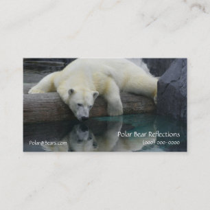 Photography Bear Polar Business Card