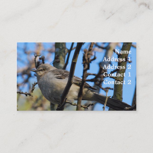 Photography Business Card (Front)