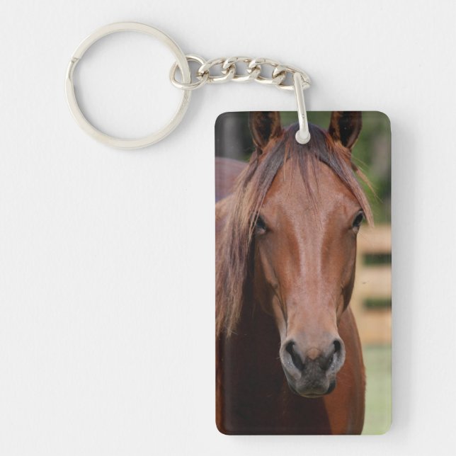 Photography of horse on keychain (Front)