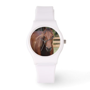 Photography of horse on watch