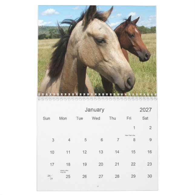Photography of Horses Calendar (Jan 2027)