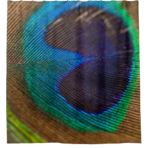 Photography of peacock feather shower curtain