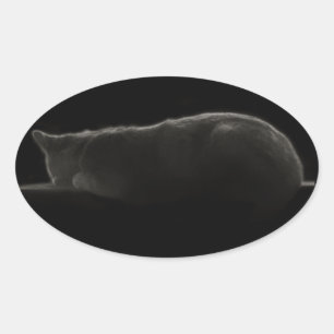 Photography Sleeping Cat Oval Sticker