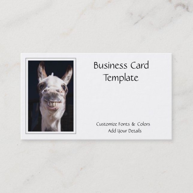 Photography Smiling Donkey Business Card (Front)
