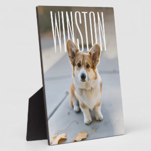 PhotoPop Custom Pet Photo Plaque
