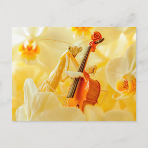 Photorealistic Praying Mantis Playing Cello Postcard