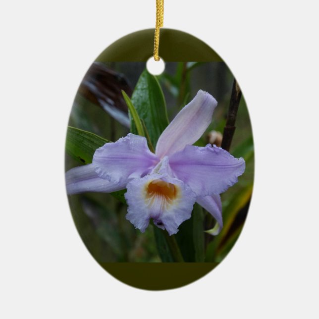 Photos Ceramic Tree Decoration (Front)