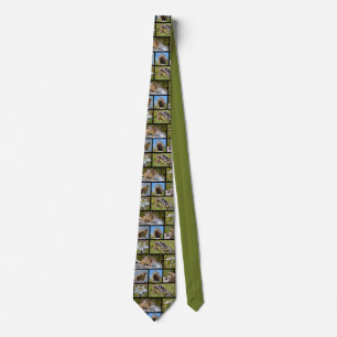 Photos mosaic Alpine marmots and edelweiss Neck Ti Tie
