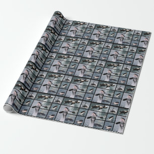 Photos multiple of killer whales poster wrapping paper