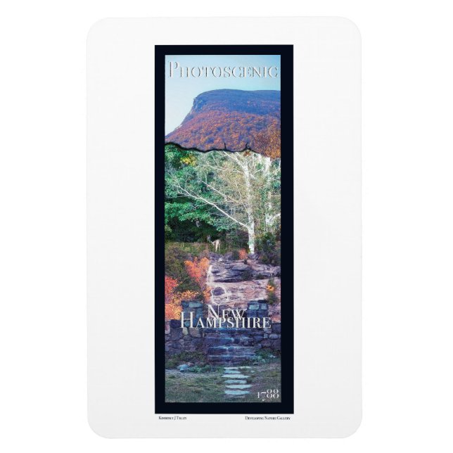 Photoscenic New Hampshire Magnet (Vertical)