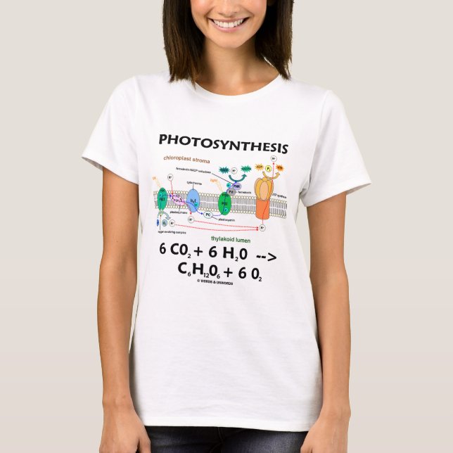 Photosynthesis (Carbon Dioxide + Water) T-Shirt (Front)