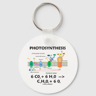 Photosynthesis (Chemical) Formula Key Ring