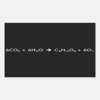 Photosynthesis Equation Rectangular Sticker