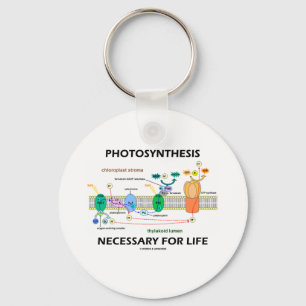 Photosynthesis Necessary For Life Key Ring