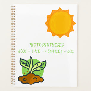 Photosynthesis planner