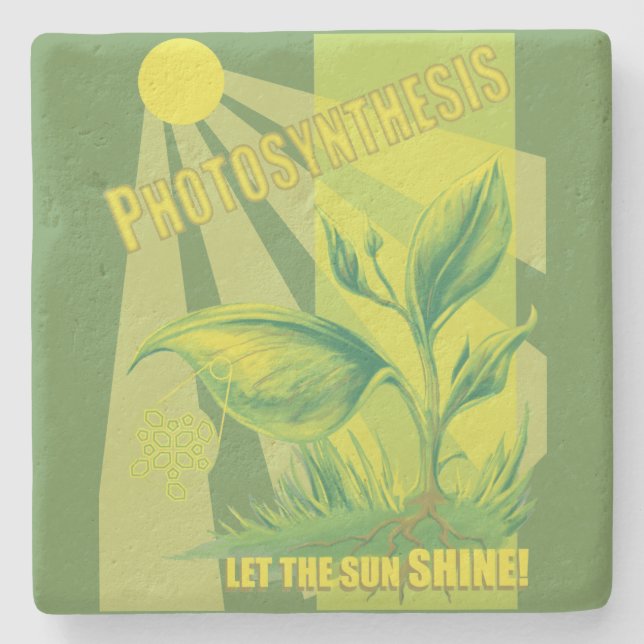 Photosynthesis Stone Coaster (Front)