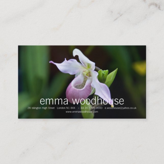 Phragmipedium Orchid Business Card (Front)