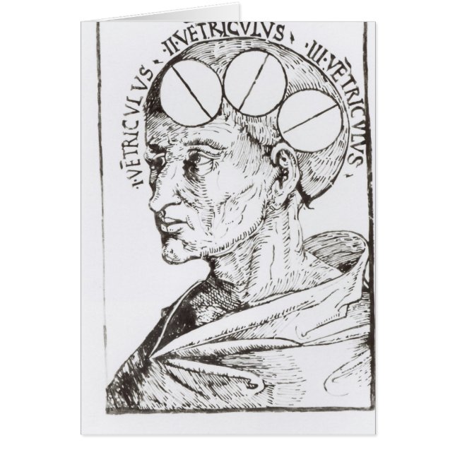 Phrenology (Front)