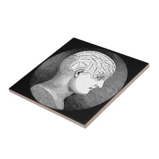 Phrenology Head Diagram Tile